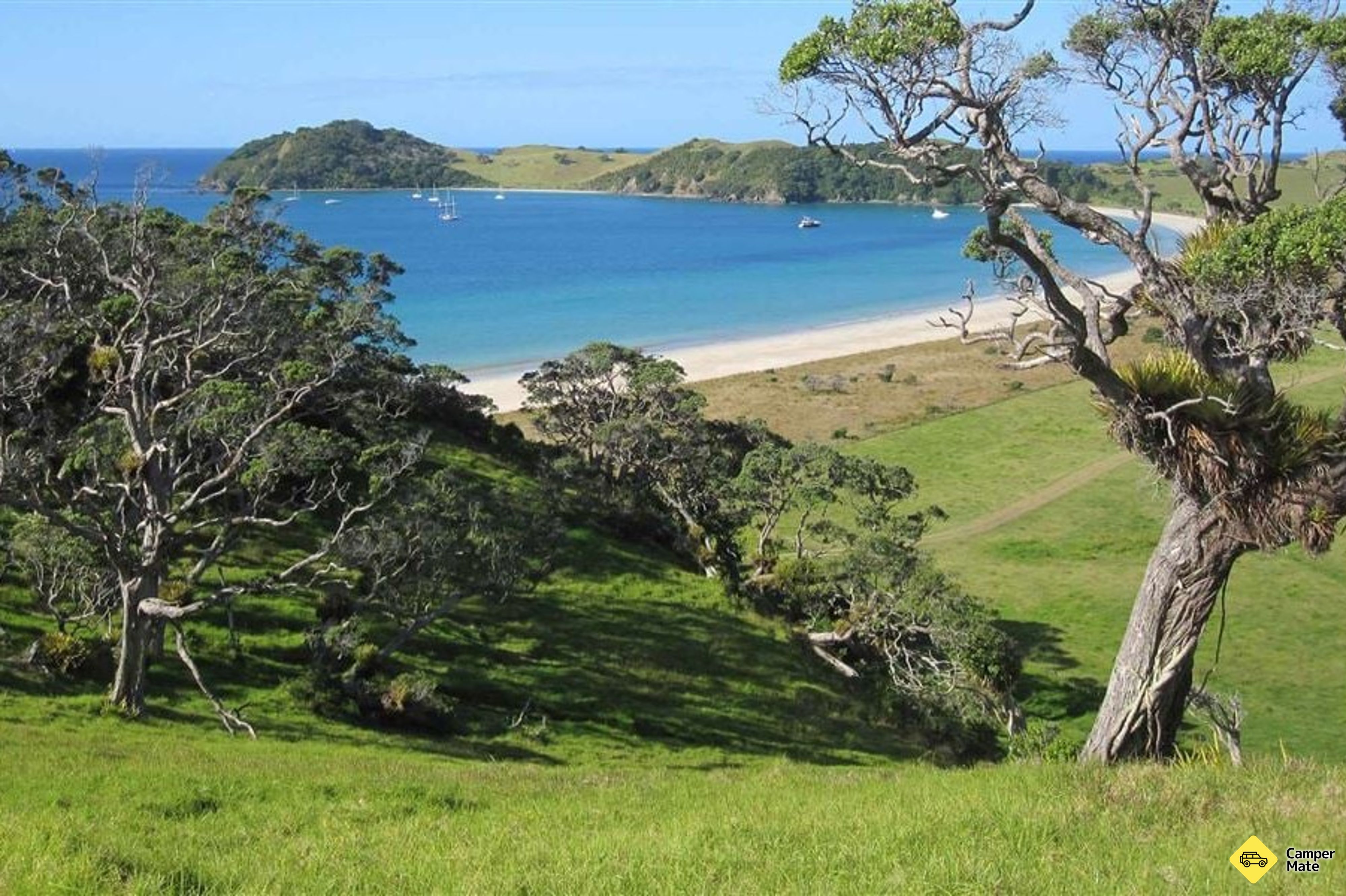 Peninsula Loop Walk - Mimiwhangata Coastal Park
