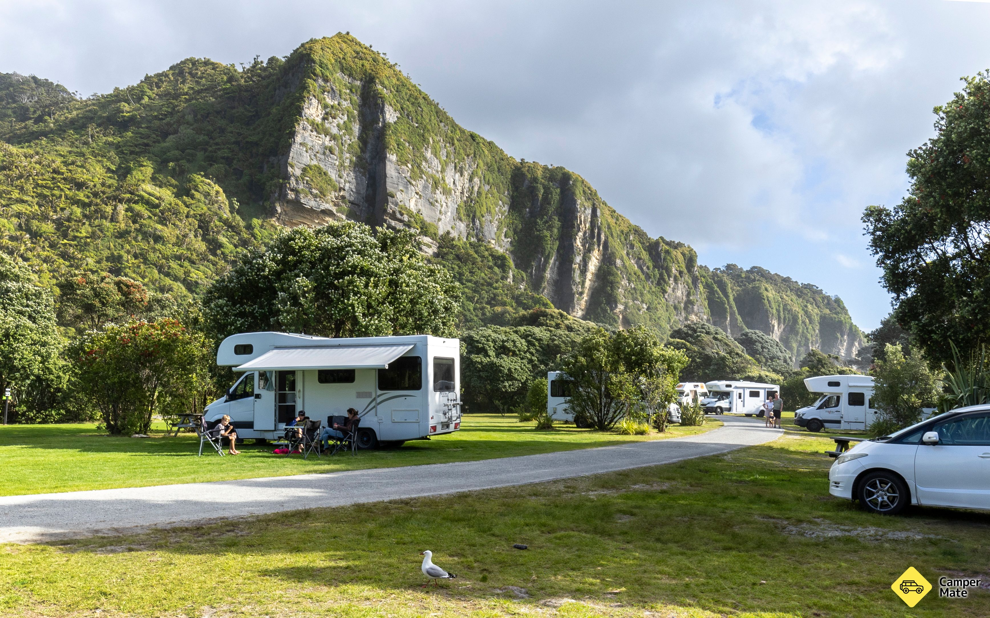 Punakaiki Beach Camp - Image 3