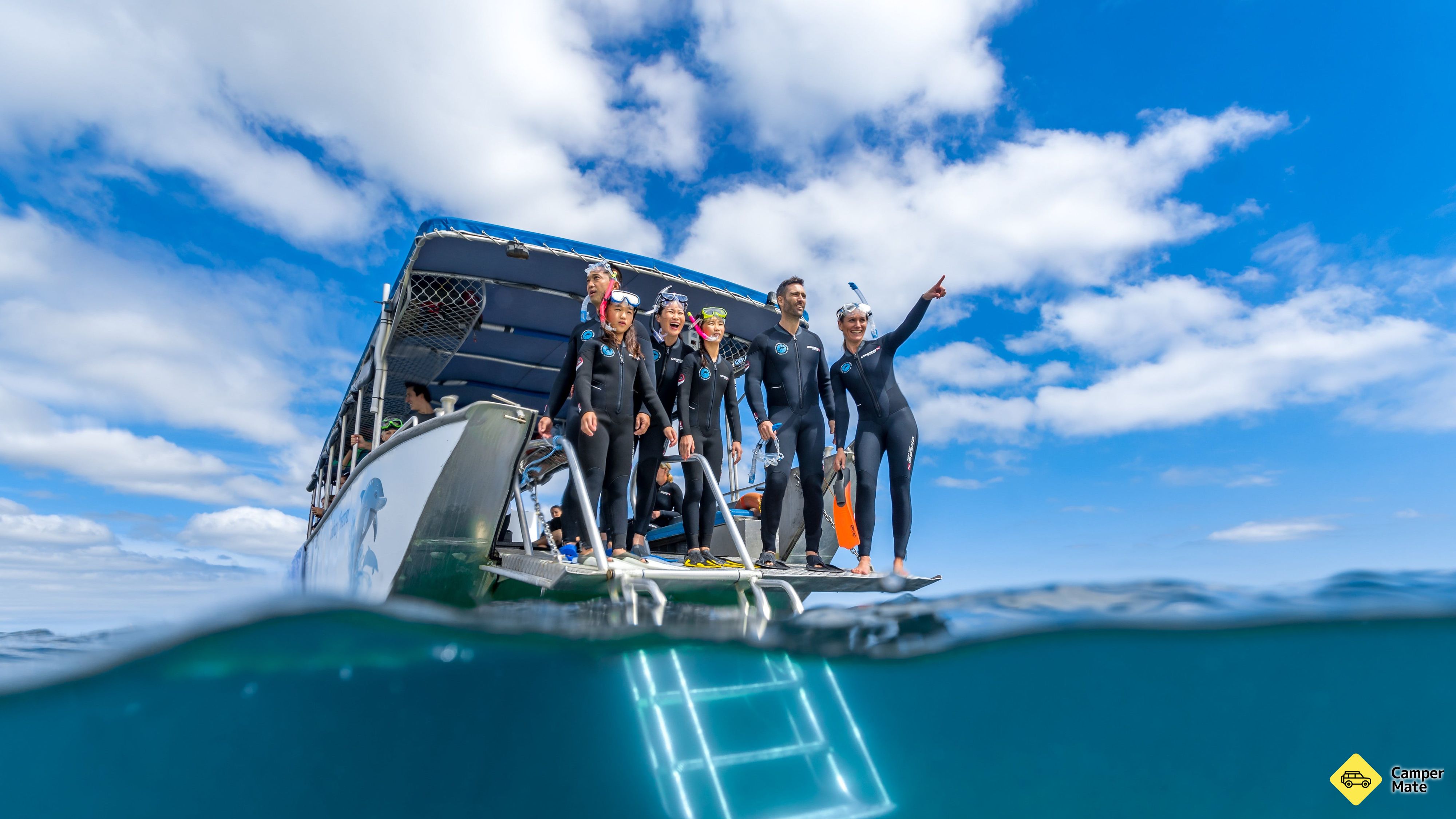 Další podrobnosti o zařízení Dolphin Discovery Centre Eco Cruise