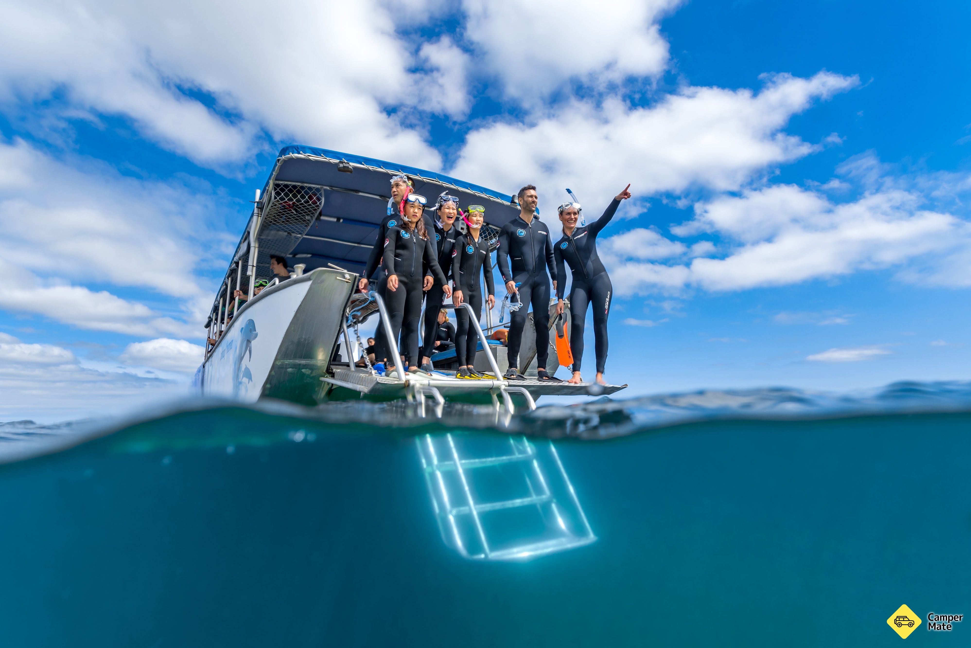 Další podrobnosti o zařízení Dolphin Discovery Centre Eco Cruise