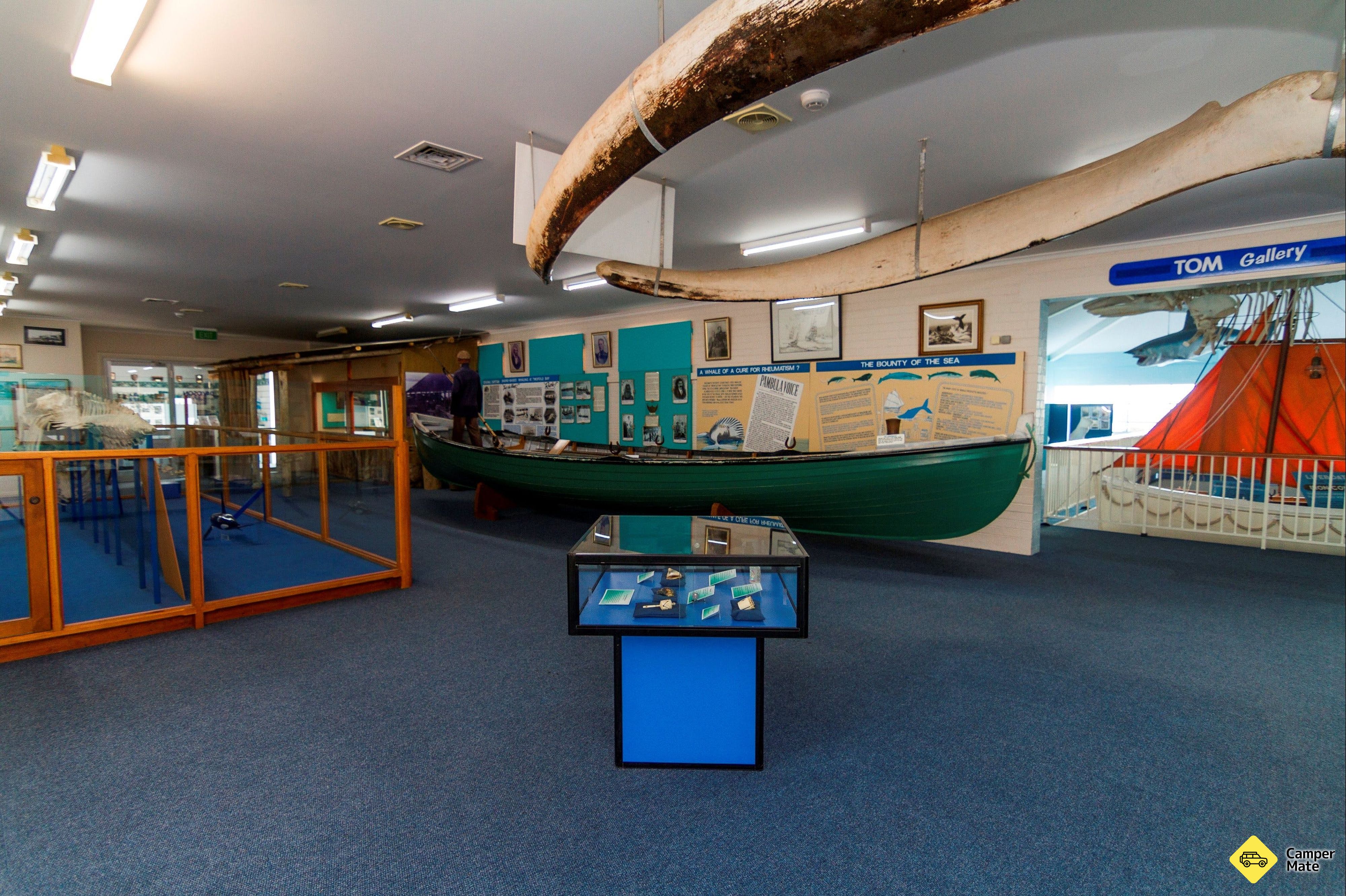 Eden Killer Whale Múzeum - Image 3