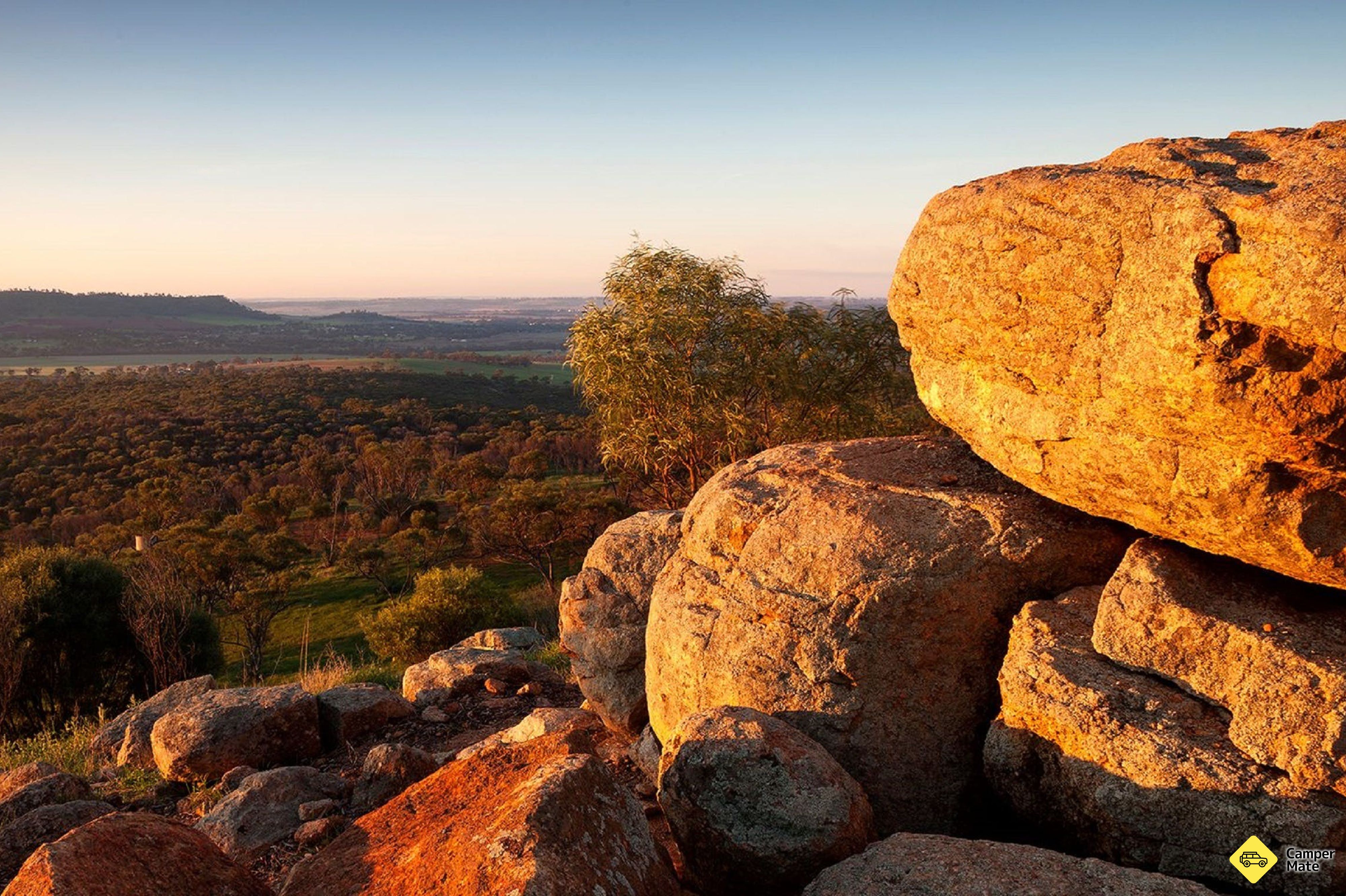 Mount Brown Lookout