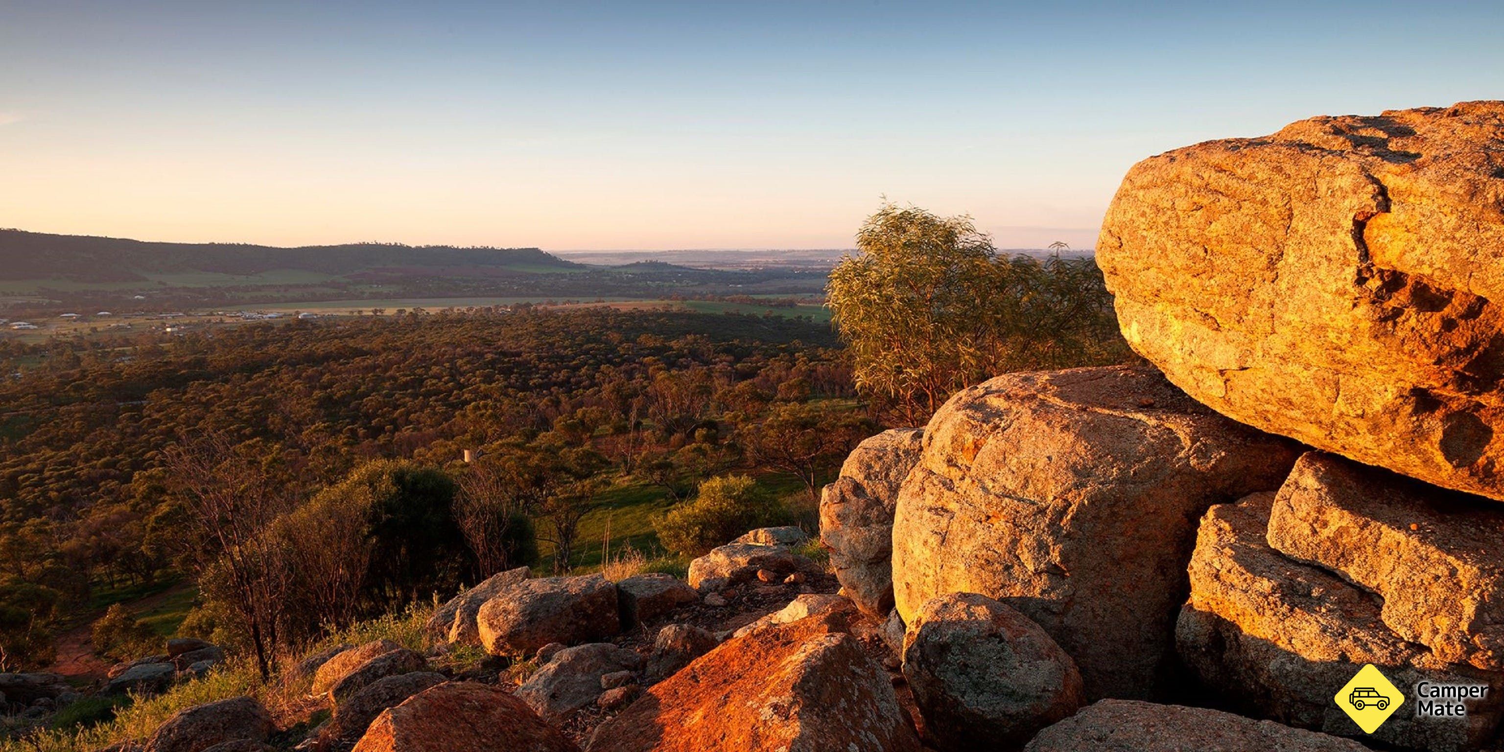 Mount Brown Lookout