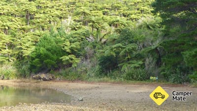 Waiona Bay Campsite