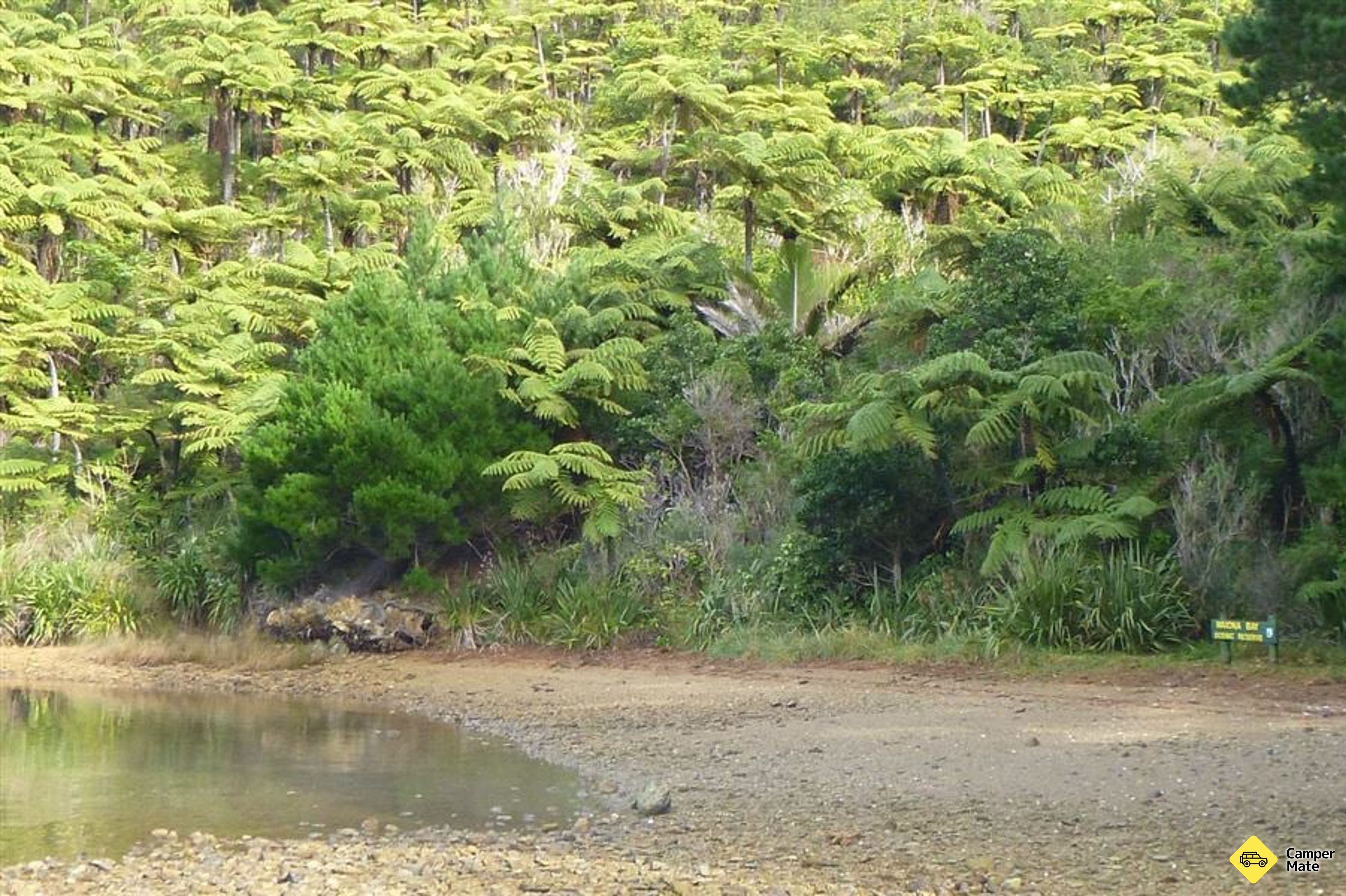 Waiona Bay Campsite