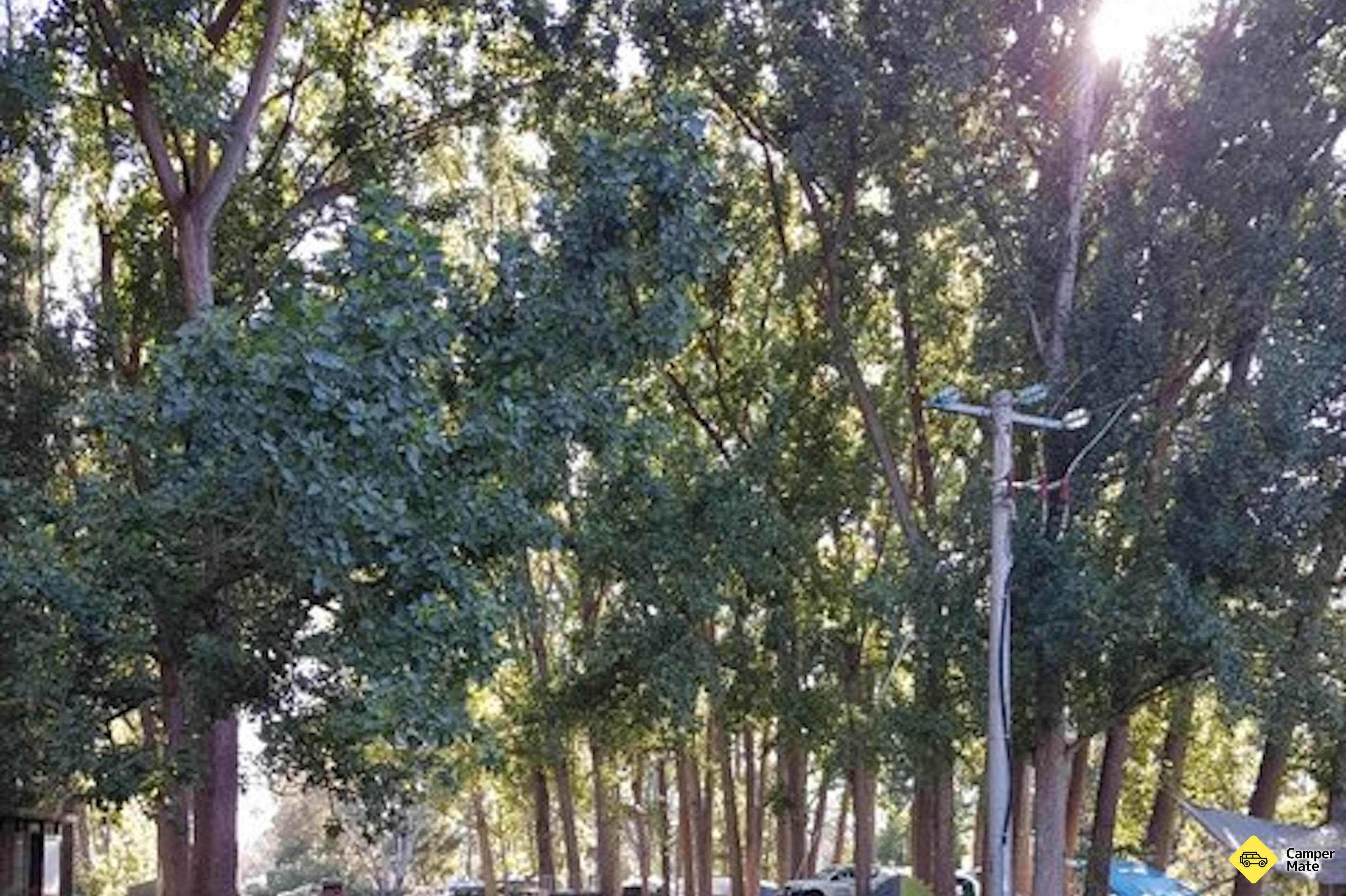 Pionierii de poduri - Image 2