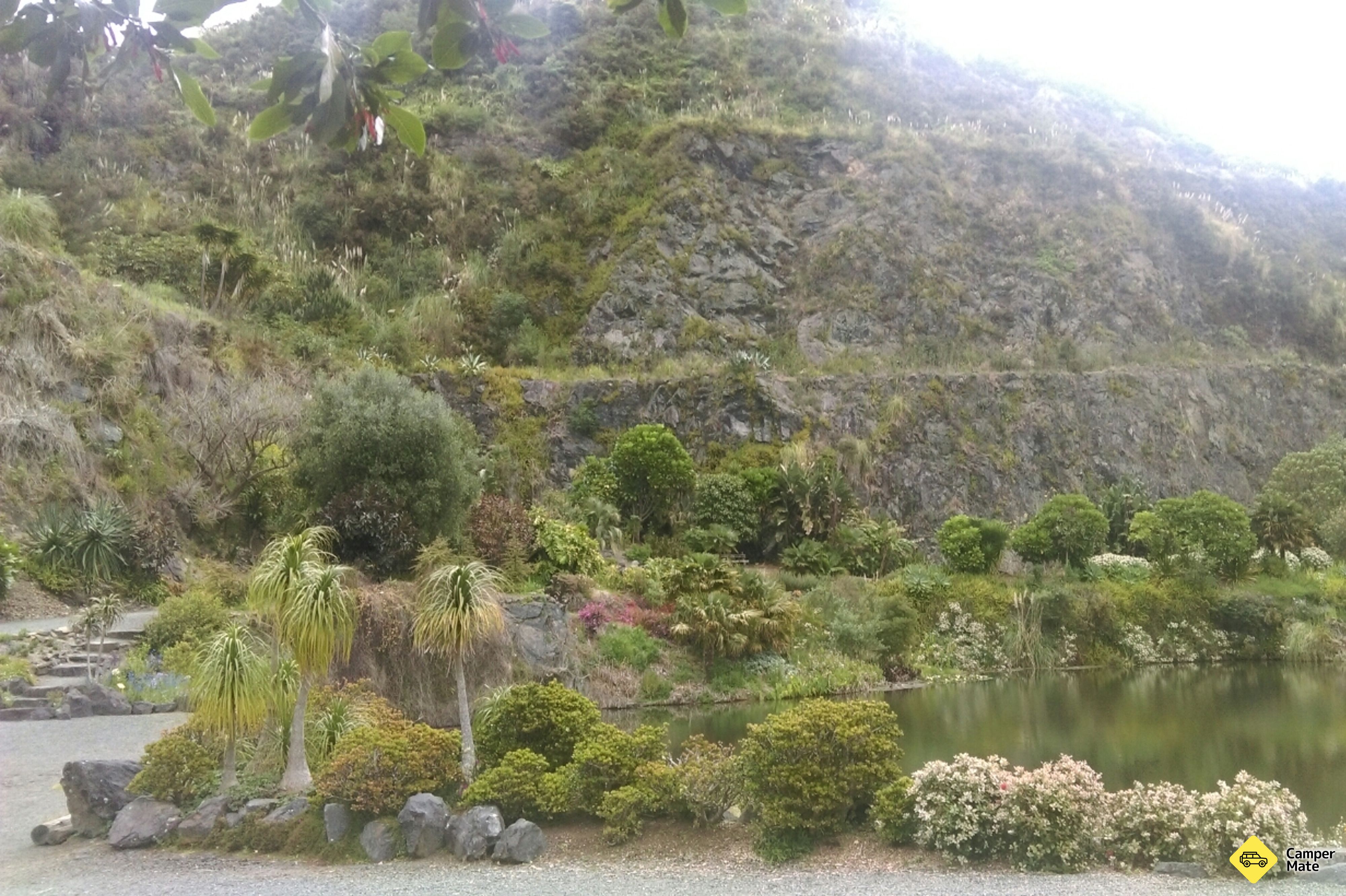 Whangarei Quarry Gardens(ワンガリー・クアリー・ガーデンズ)
