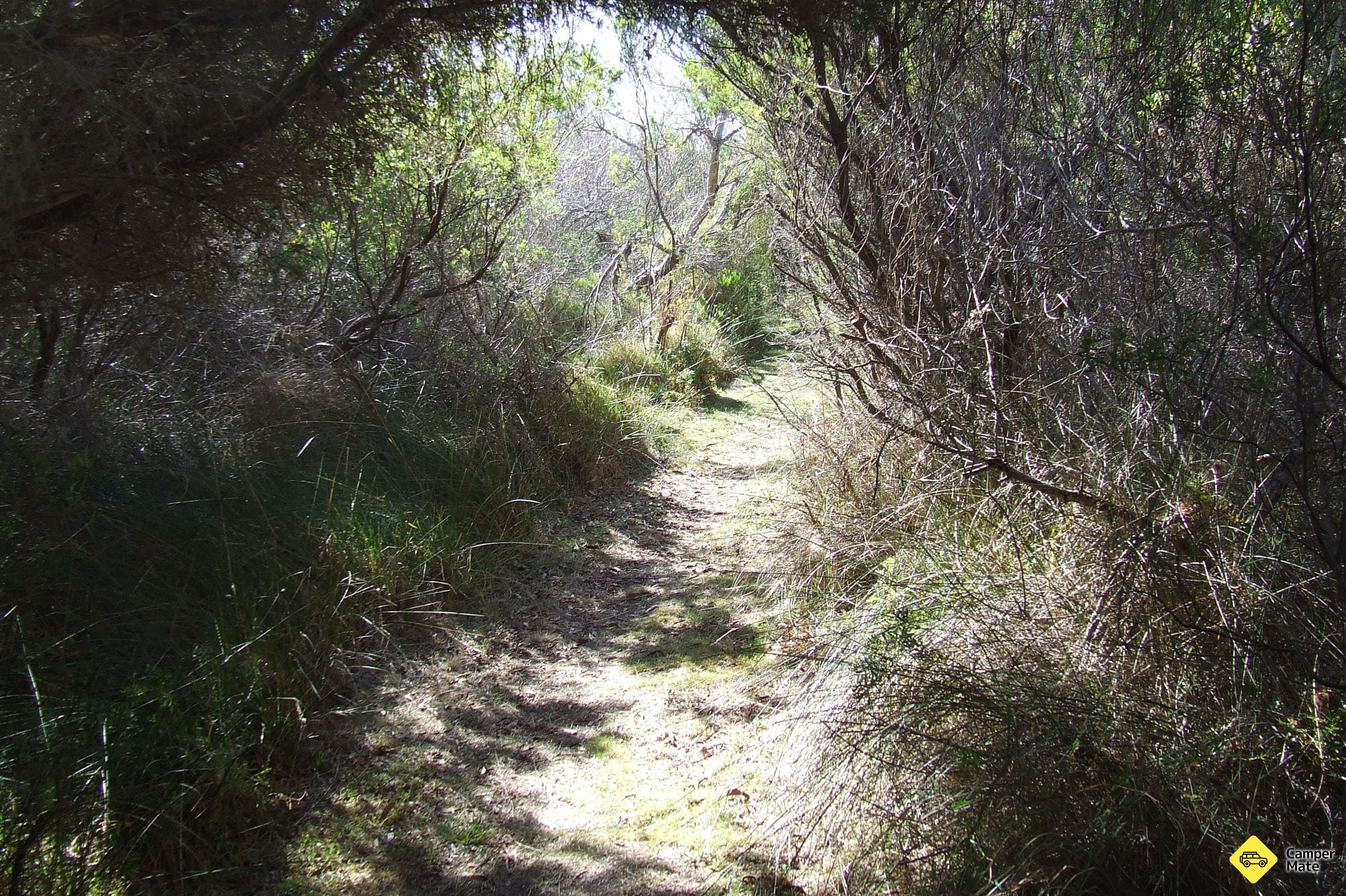 Jack och Hilda McArthur Walk - Image 2