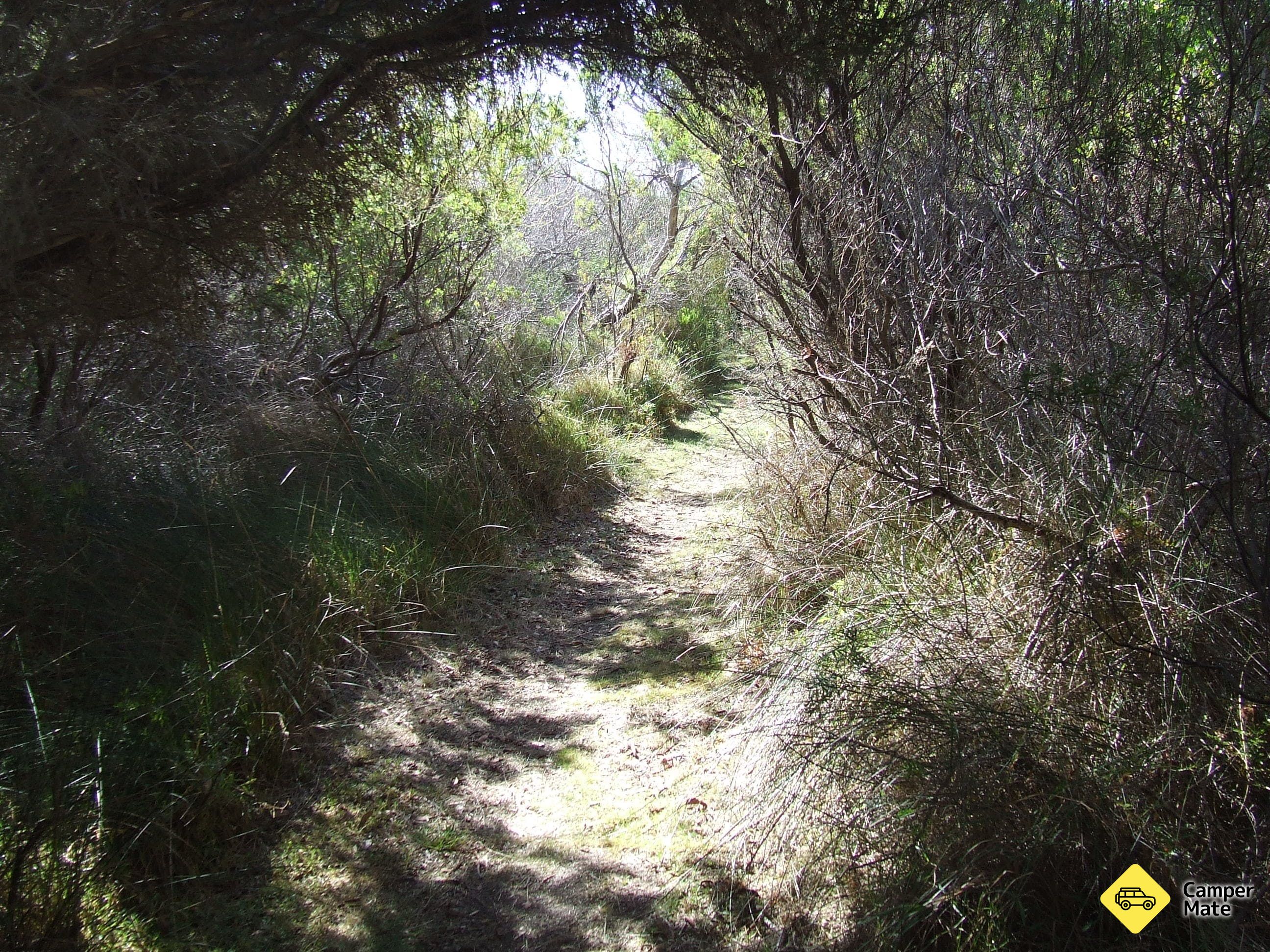 Jack och Hilda McArthur Walk - Image 2