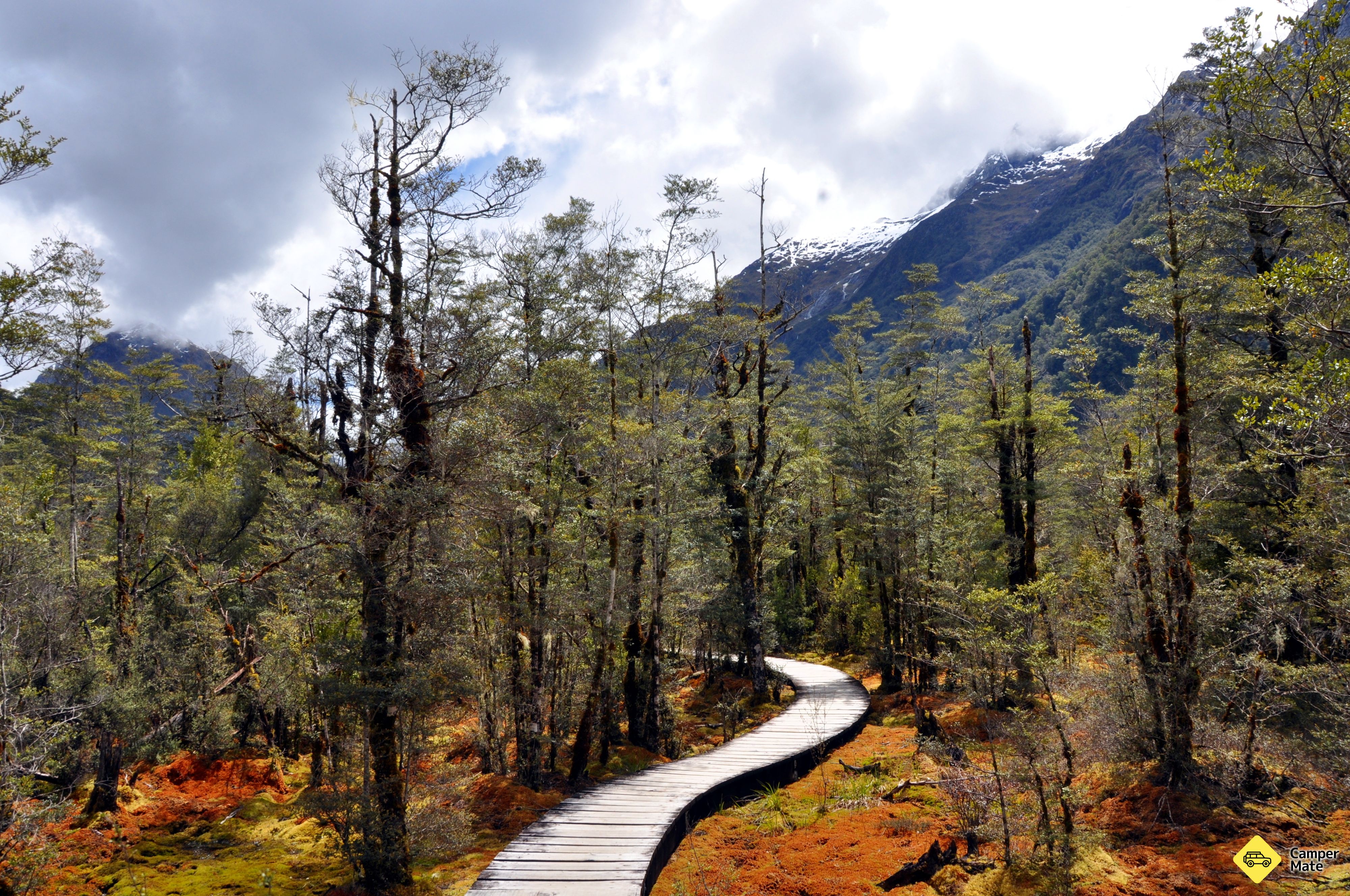 Milford Track - Image 2