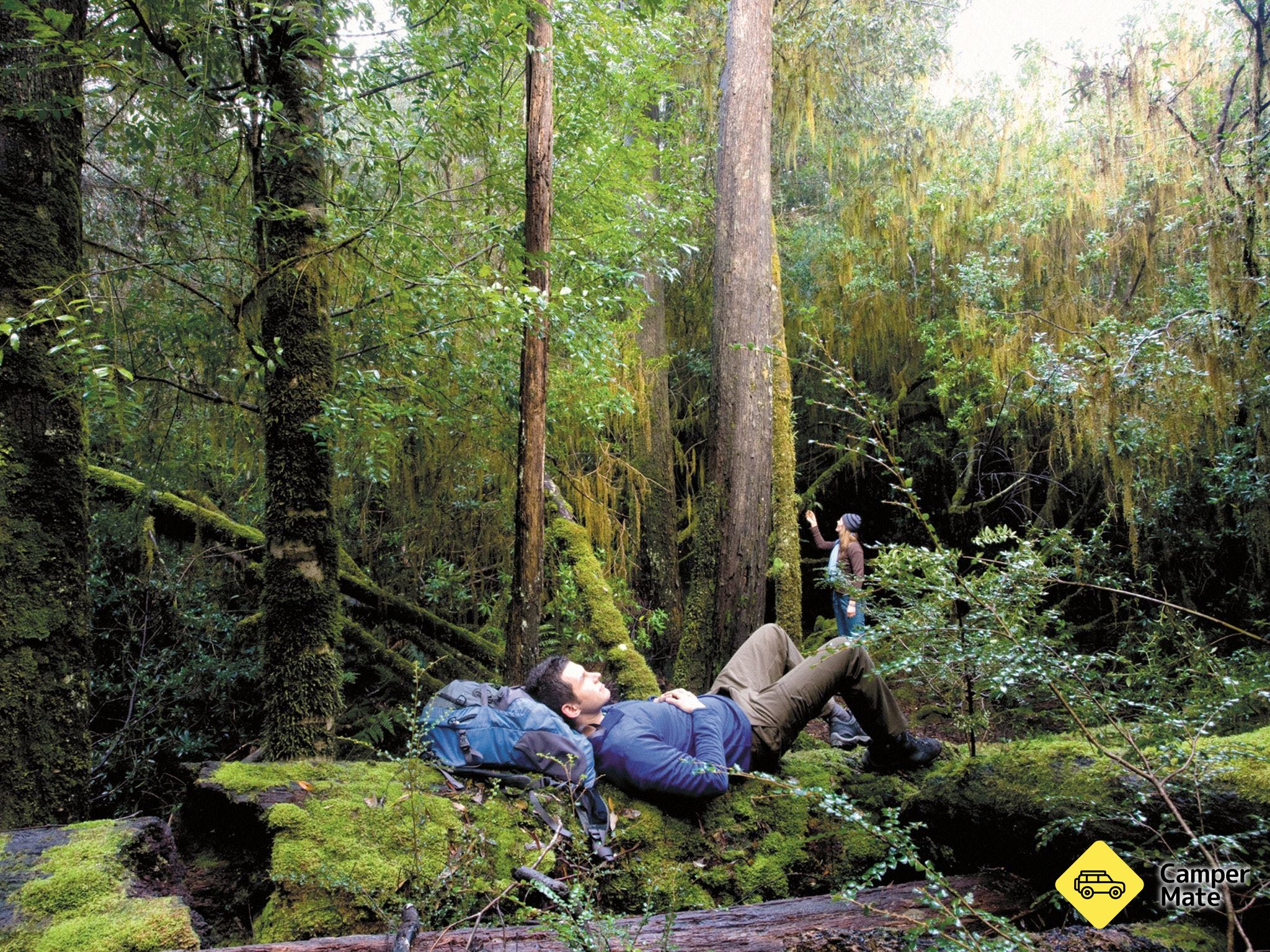 The Tarkine Drive - Image 3