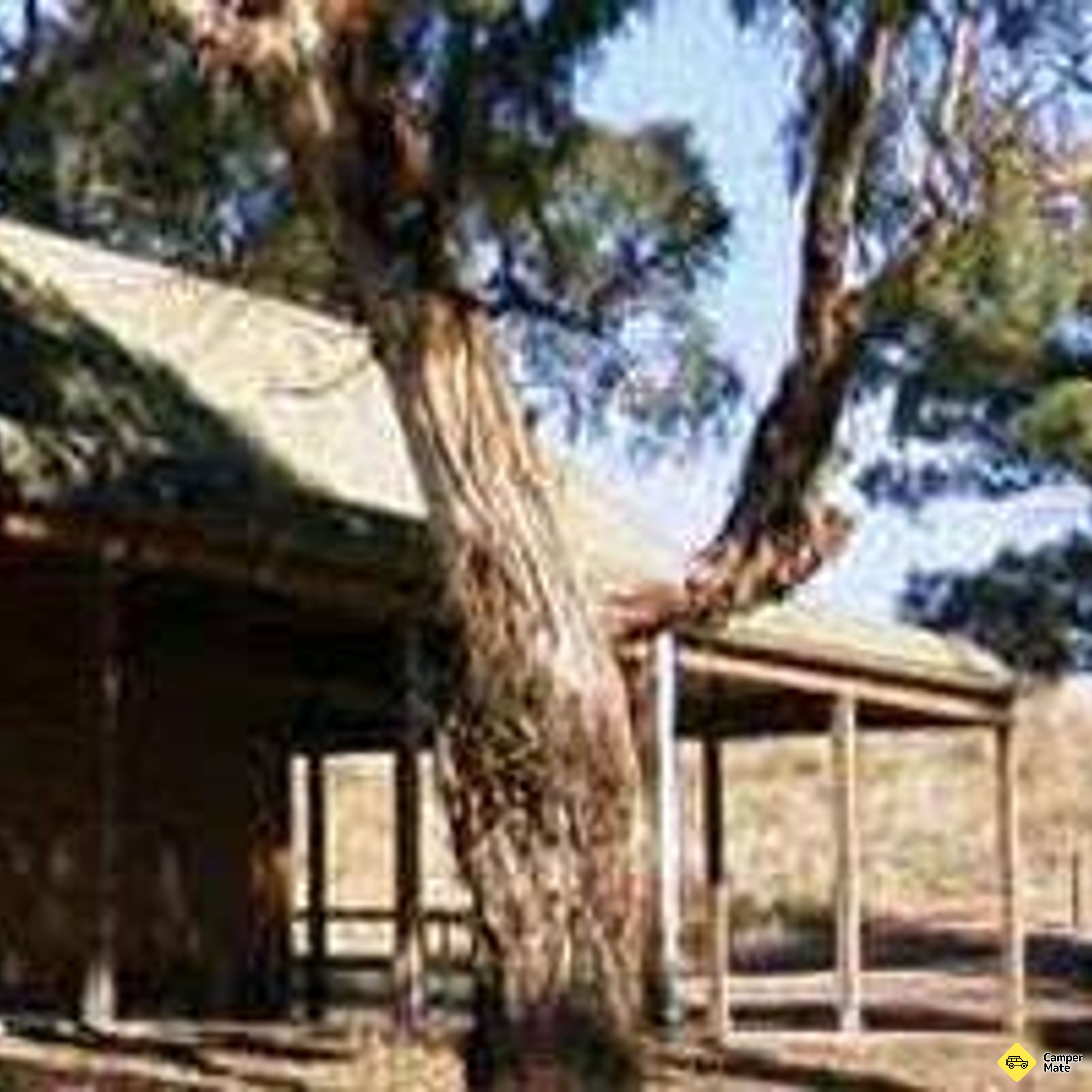 Campamento de Nioka Bush - Image 2