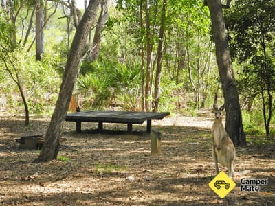 Wreck Rock Camping Area