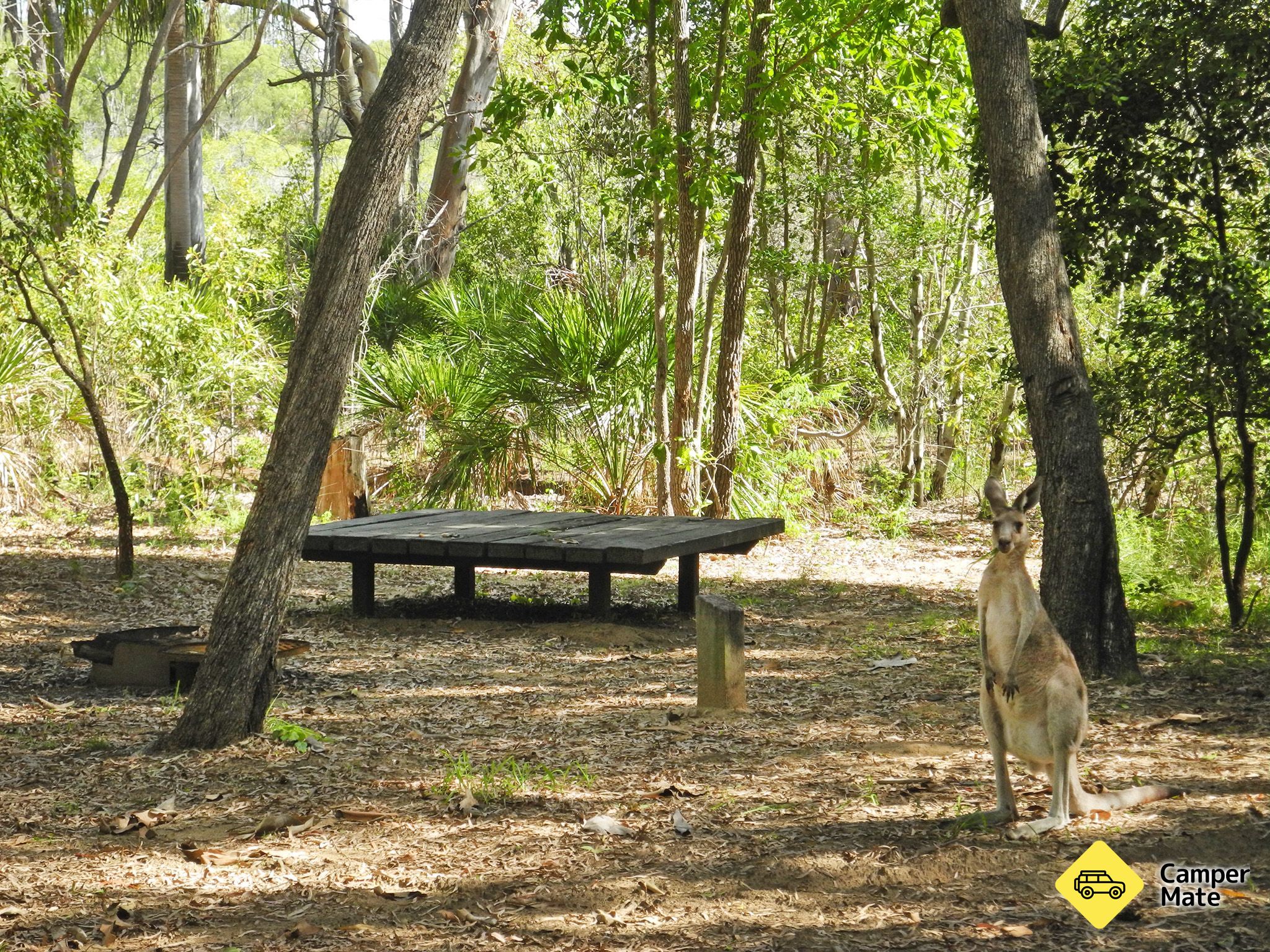 Wreck Rock Camping Area