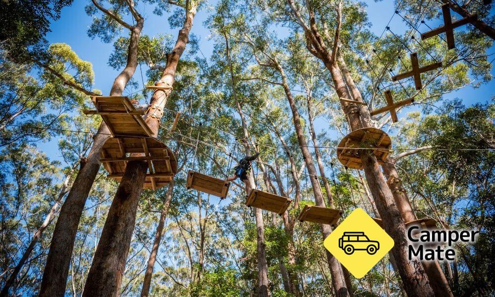 האותיות הקטנות של Treetop Adventure Coffs Harbour