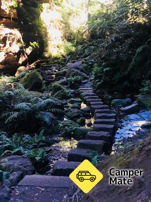 Der Grand Canyon Walking Track