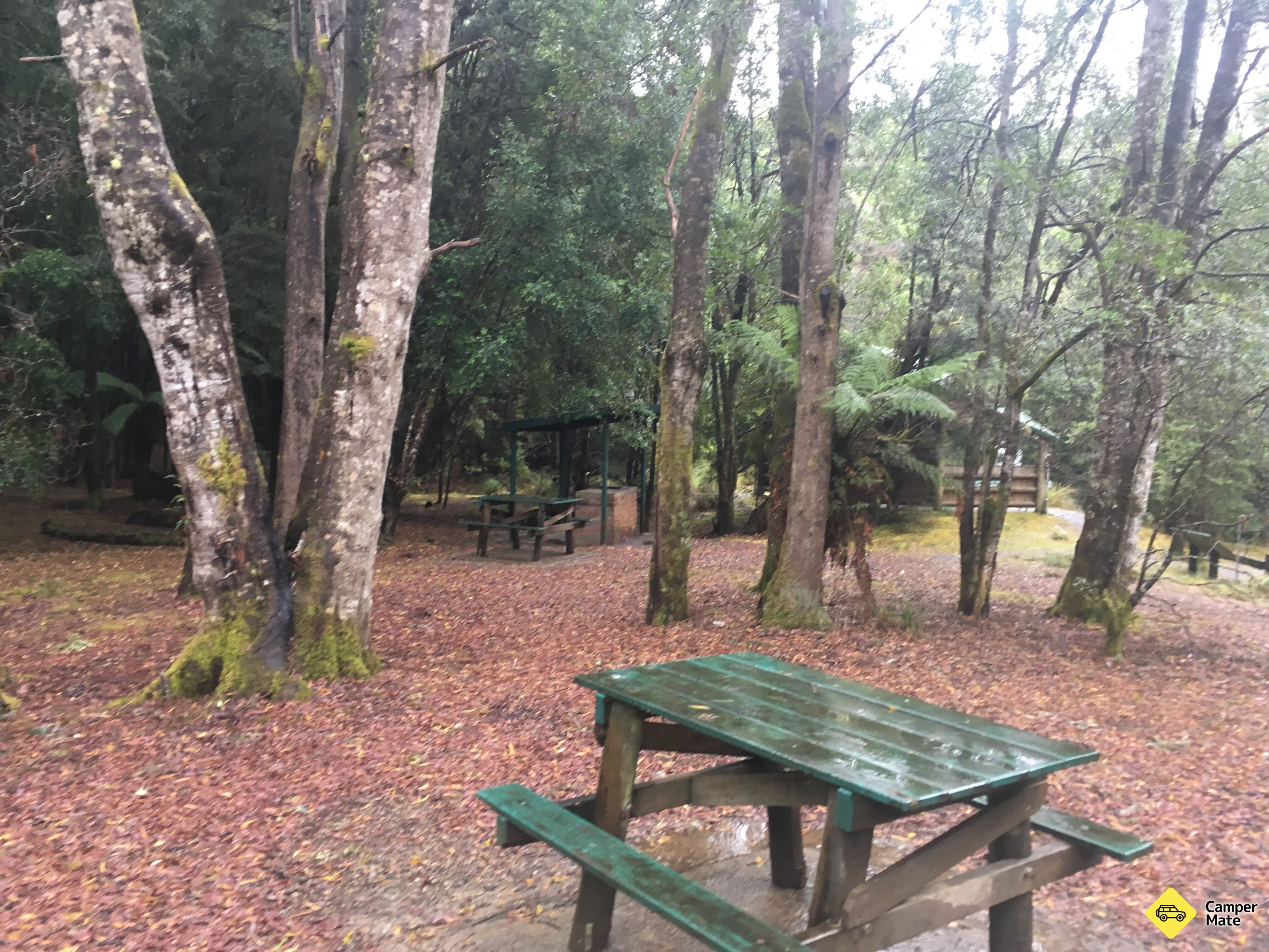 Julius River Forest Reserve - Image 2