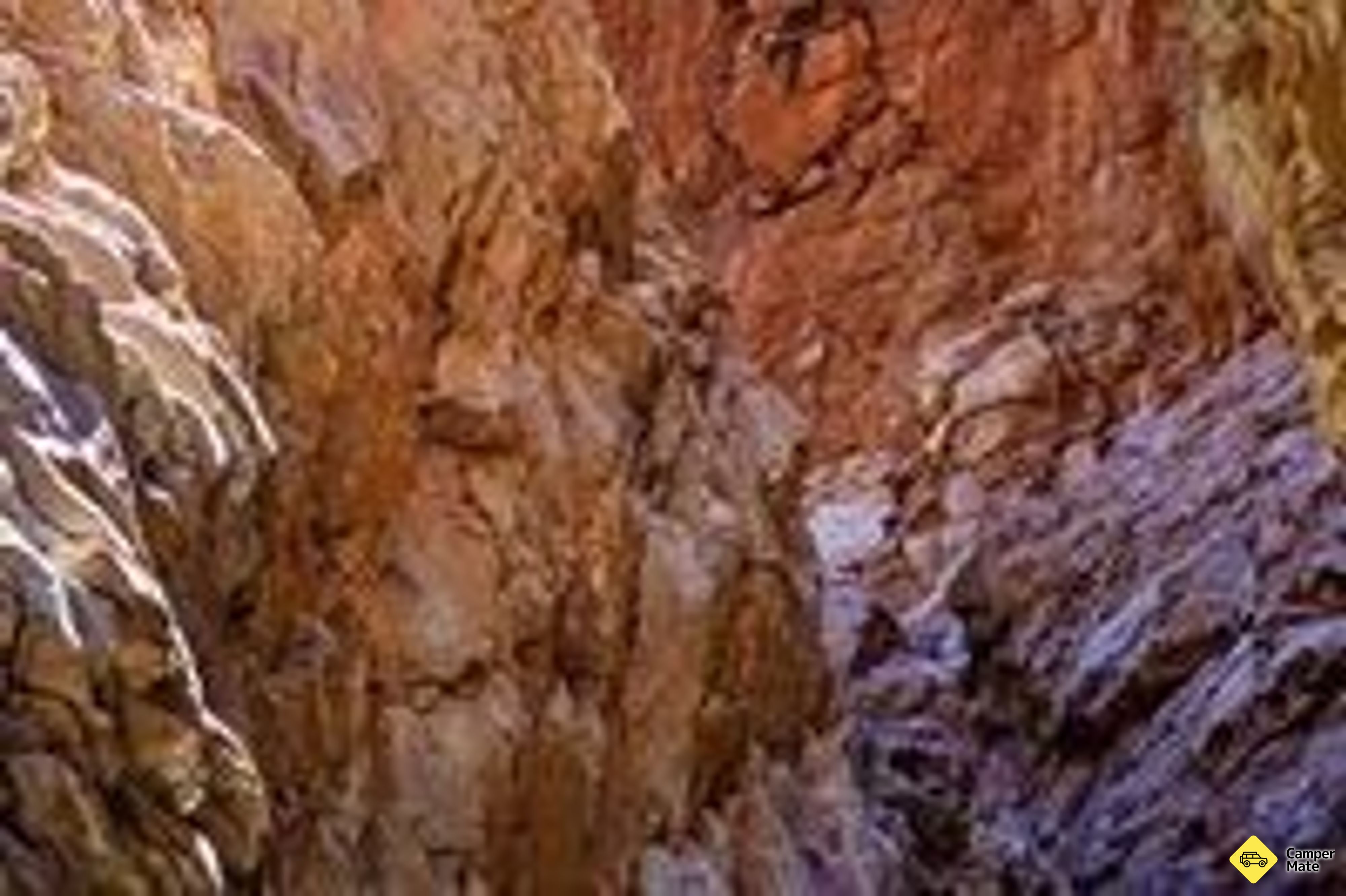 Redbank Gorge Walk - Image 3