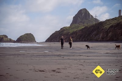 Zpět na Beach Dunes