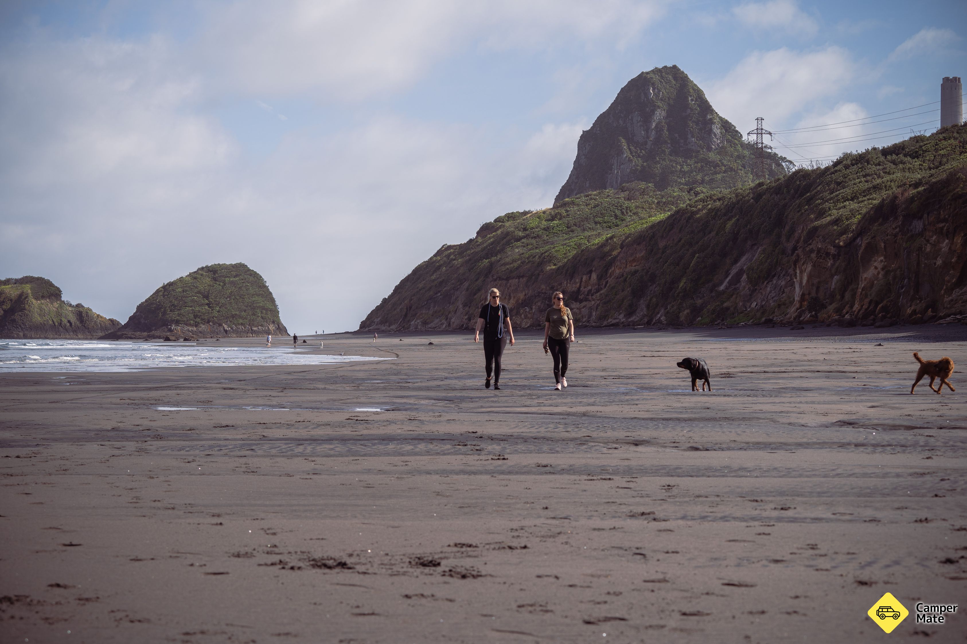 Back Beach dunes