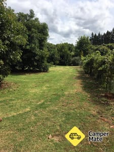Baybell Orchard Driveway