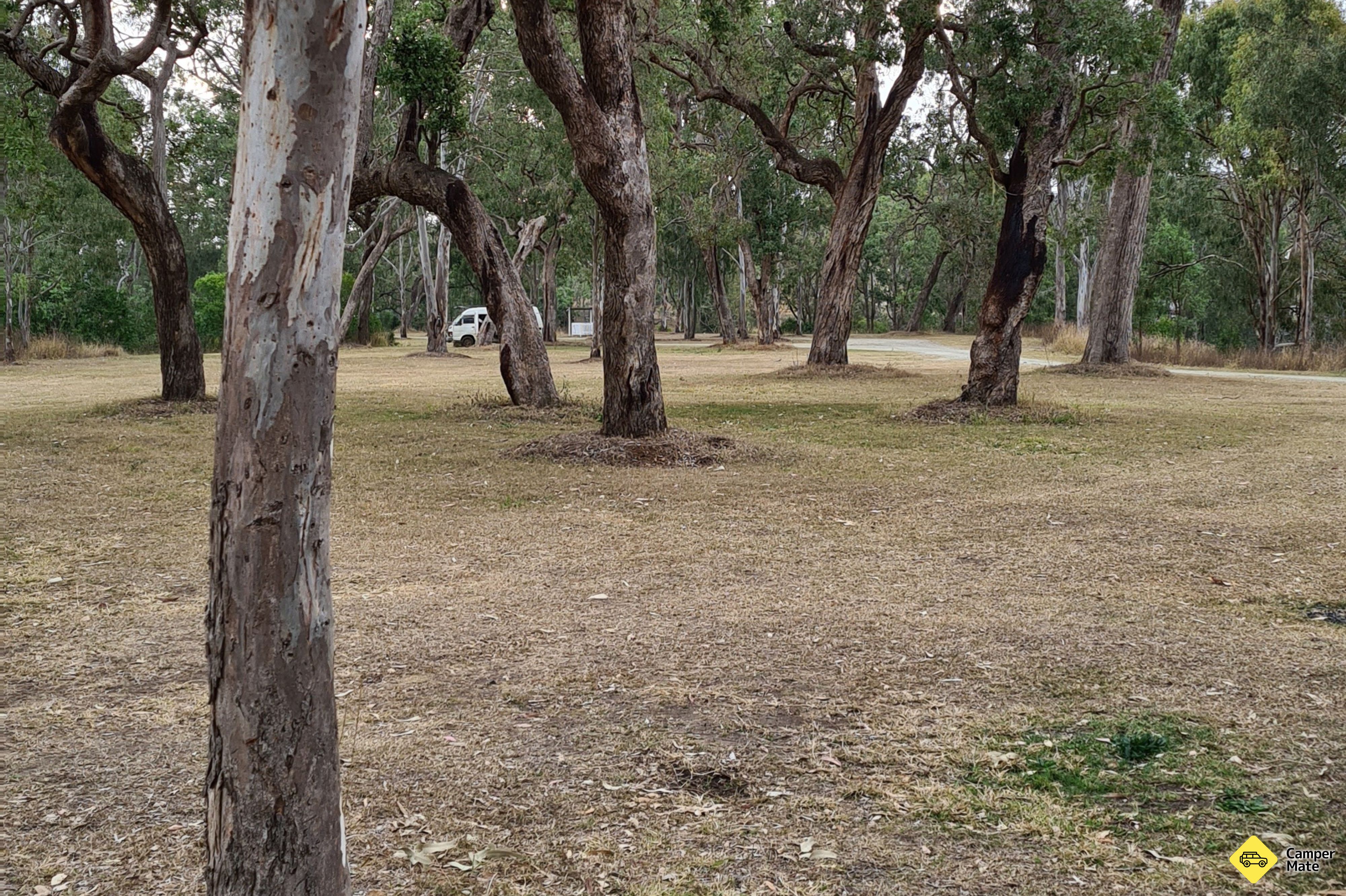 Swinging Bridge Rest Area - Image 3