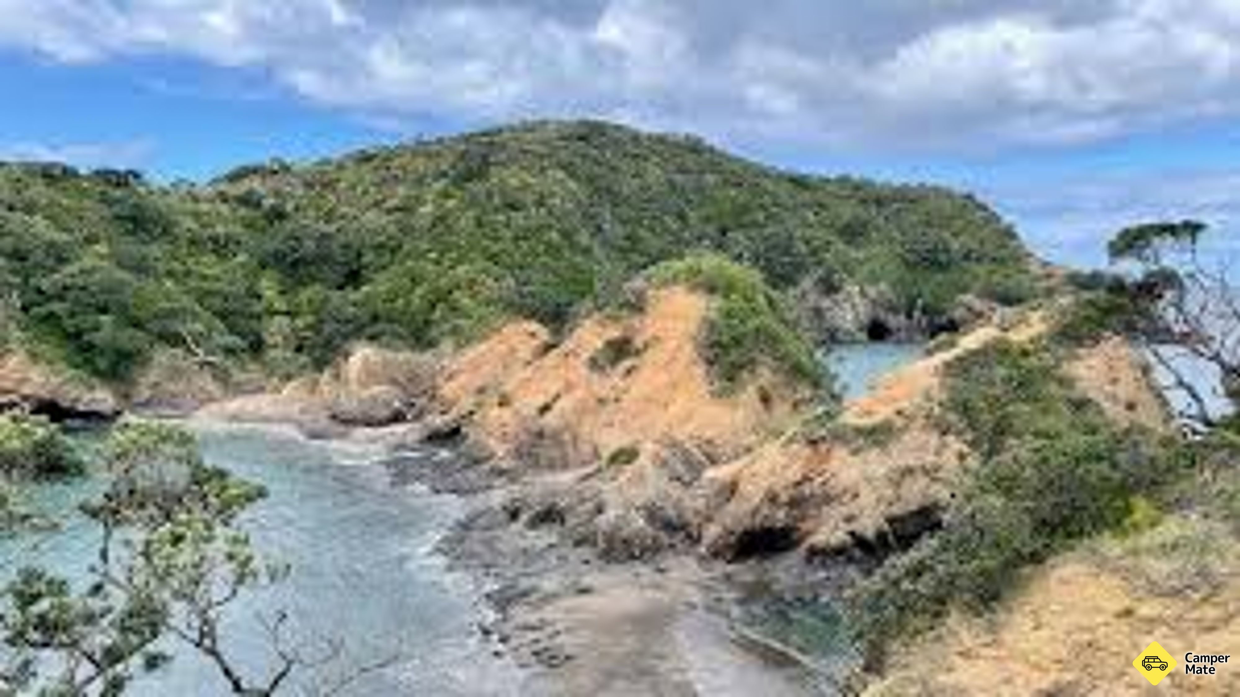 Tutukaka Head Tracks