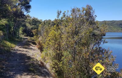 Aorere Goldfields Track and Caves