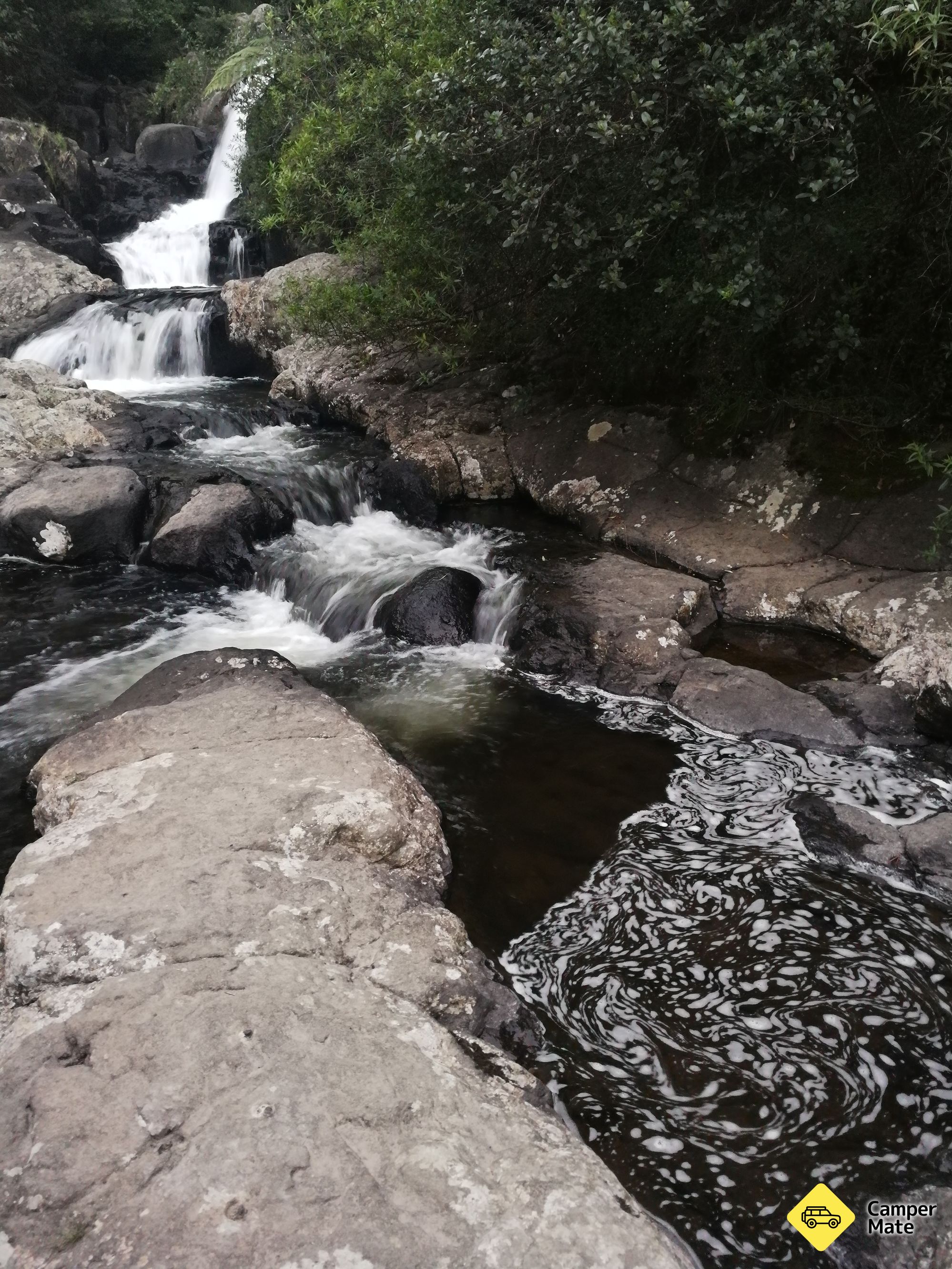 Rerekawau Falls Track - Image 2