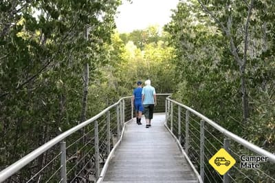 Mangrove Boardwalk áttekintése