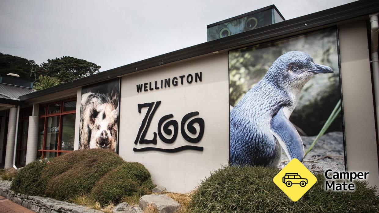 Wellington Zoo - Image 2