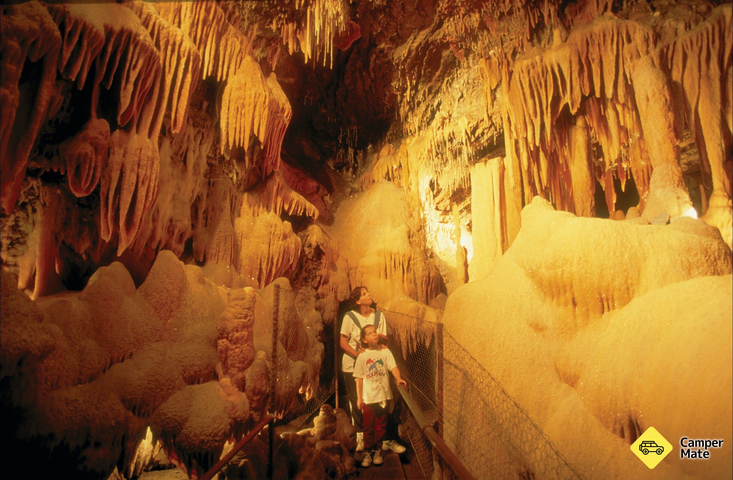 Buchan Caves Reserve - Image 3